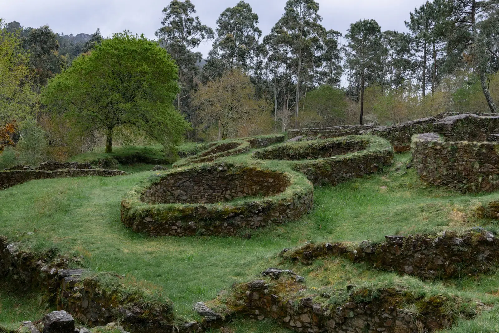 69. Construcions circulares do castro A Cida 1.jpg