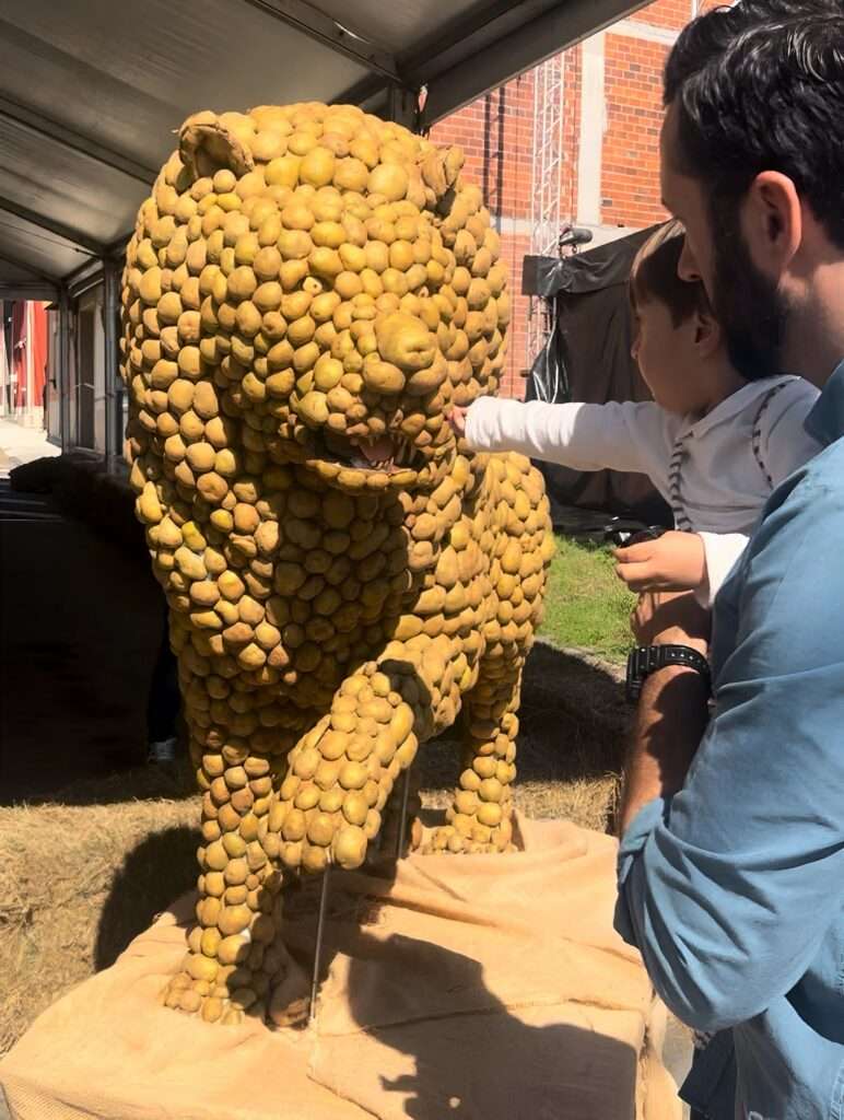 León De Patata En La Exposición Exposición Fotográfica O Fío Que Tece Un Pobo Coristanco