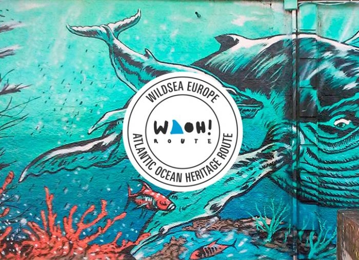 Creacion de la marca de submarinismo en la costa atlantica