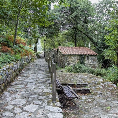 Foto 56. molinos de santo adrián toba