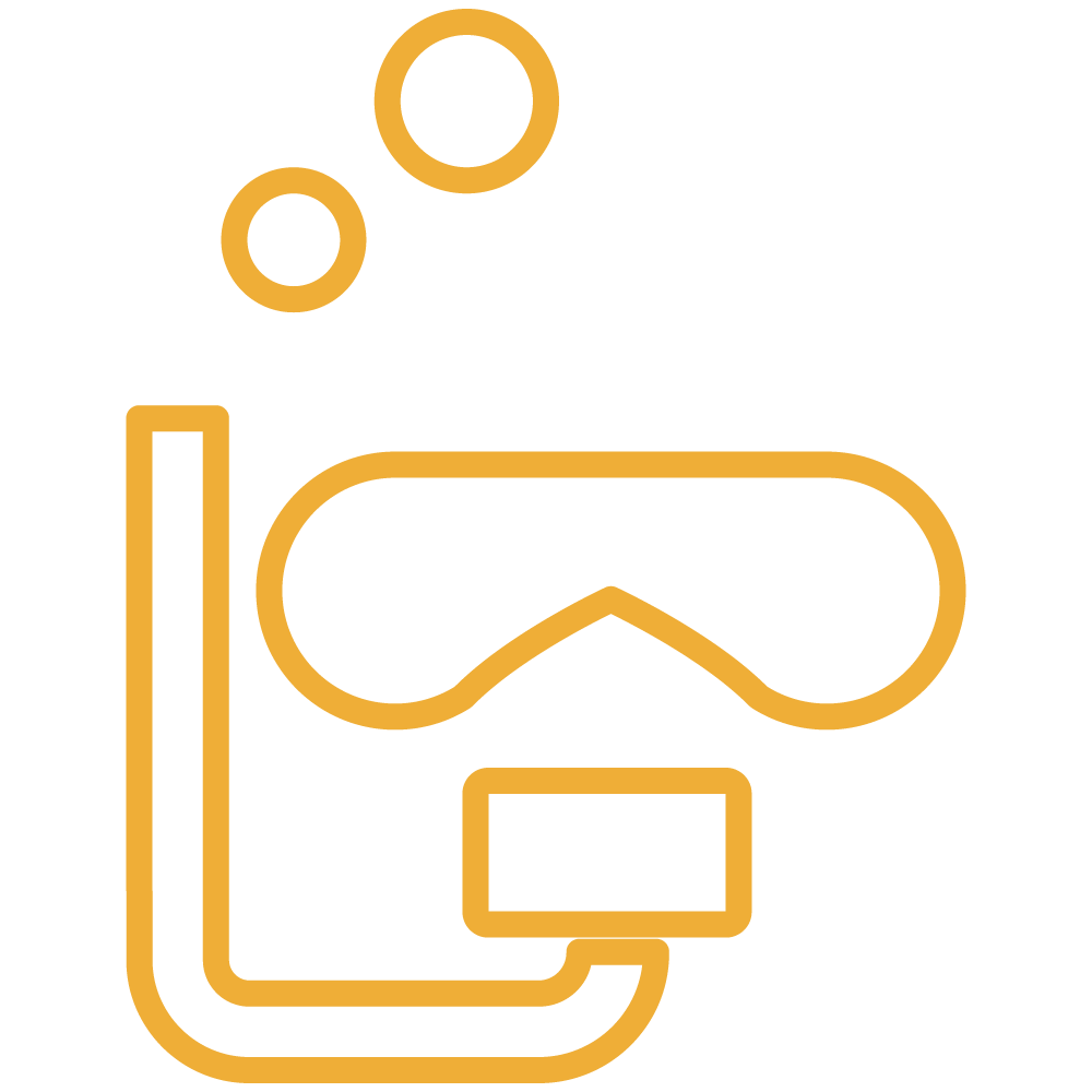 Icon9.png