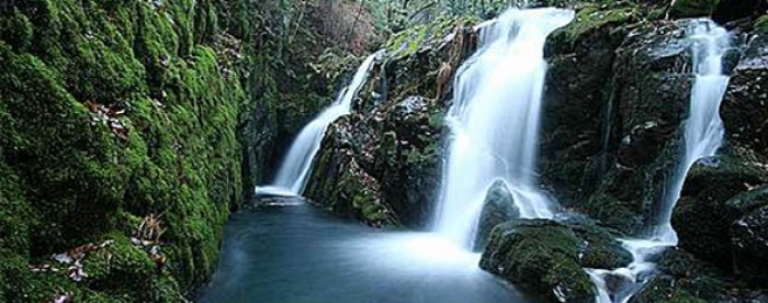 Mazaricos