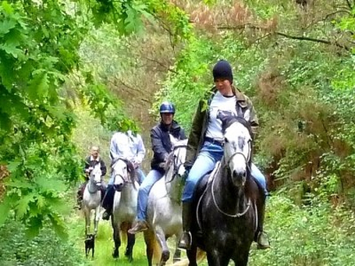 Rutas a caballo